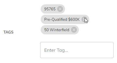 Screenshot of Example Lead Tags
